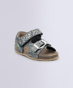 Ordercraze.shopb3c9ed31b6 1