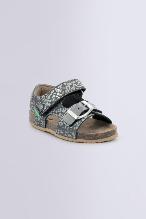 Ordercraze.shopb3c9ed31b6 1