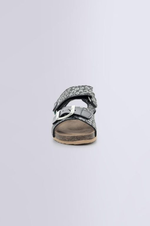 Ordercraze.shopb3c9ed31b6 4