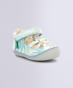 Ordercraze.shopb88a0b0721 1