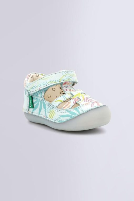 Ordercraze.shopb88a0b0721 1