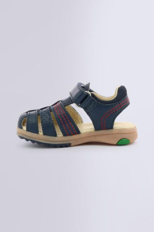 Ordercraze.shopbafb8f6eeb 3