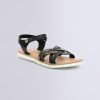 Ordercraze.shopbe027f5756 1