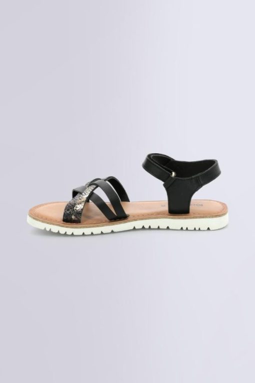 Ordercraze.shopbe027f5756 3