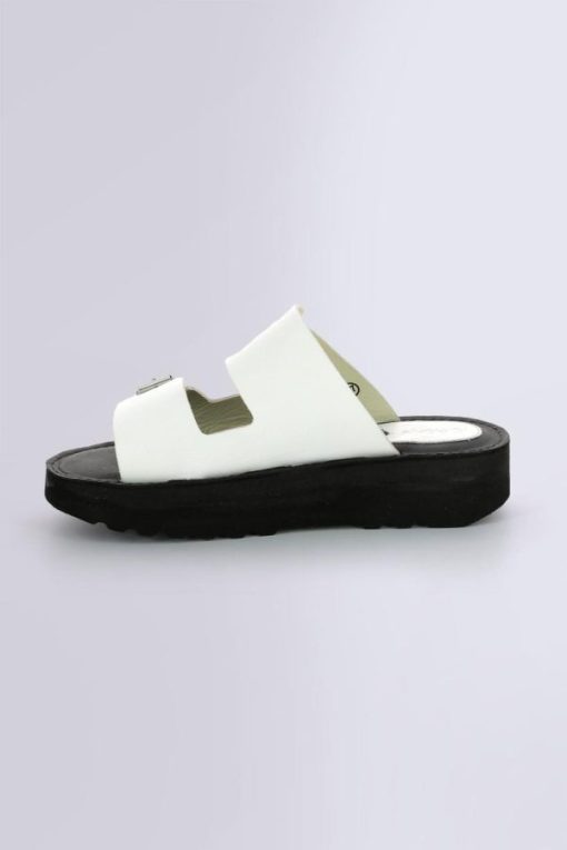 Ordercraze.shopbe5d85648f 3