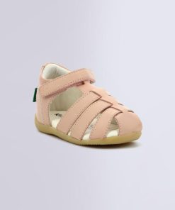 Ordercraze.shopbea1da1fe4 1