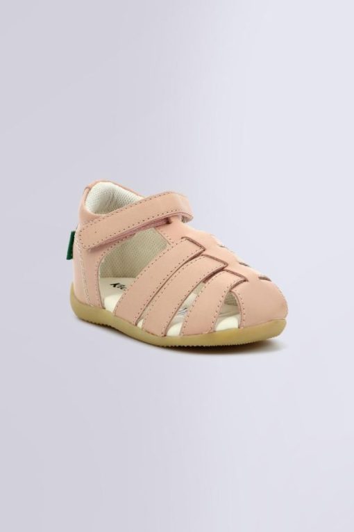 Ordercraze.shopbea1da1fe4 1