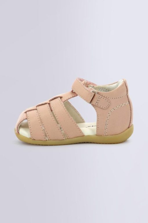 Ordercraze.shopbea1da1fe4 3