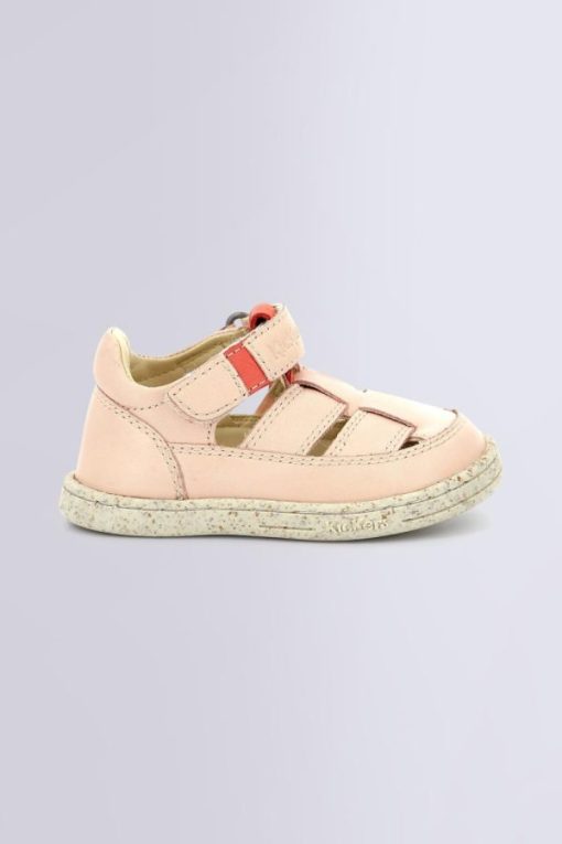 Ordercraze.shopc14058609f 2
