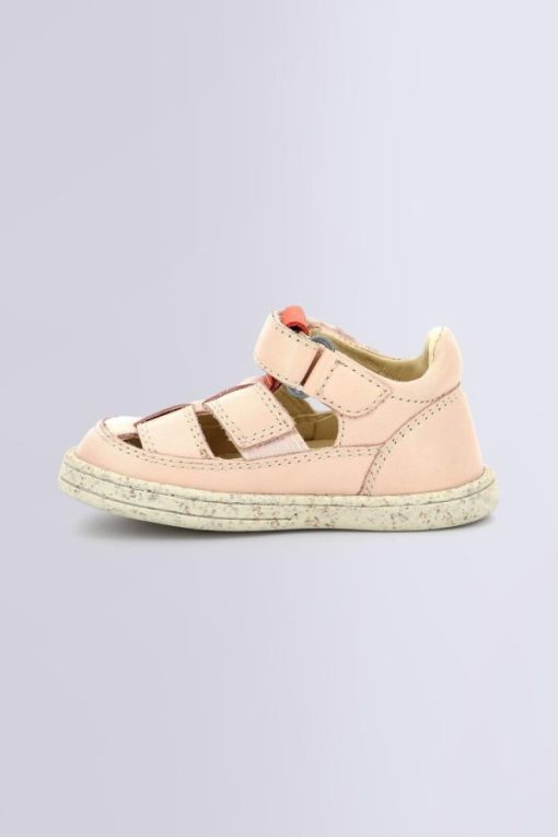 Ordercraze.shopc14058609f 3
