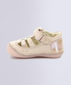 Ordercraze.shopc1c2ea2d55 2