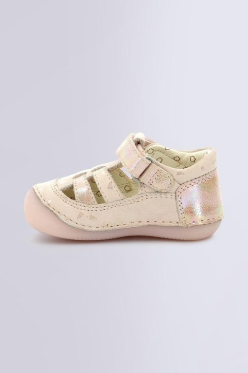 Ordercraze.shopc1c2ea2d55 2