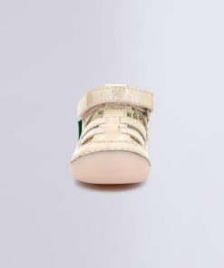 Ordercraze.shopc1c2ea2d55 3