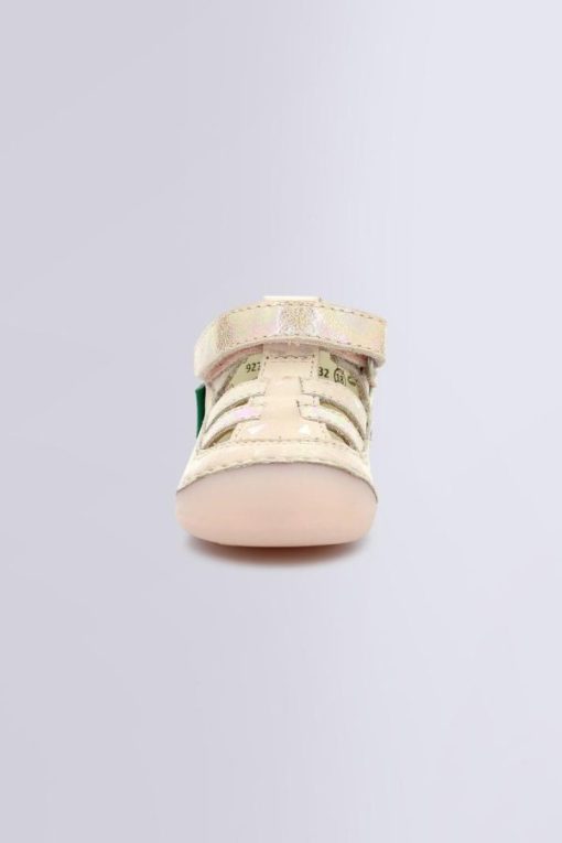 Ordercraze.shopc1c2ea2d55 3