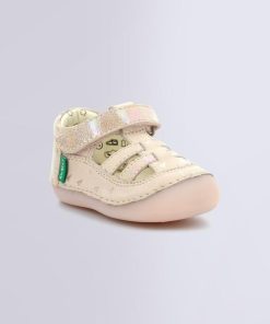 Ordercraze.shopc1c2ea2d55 4