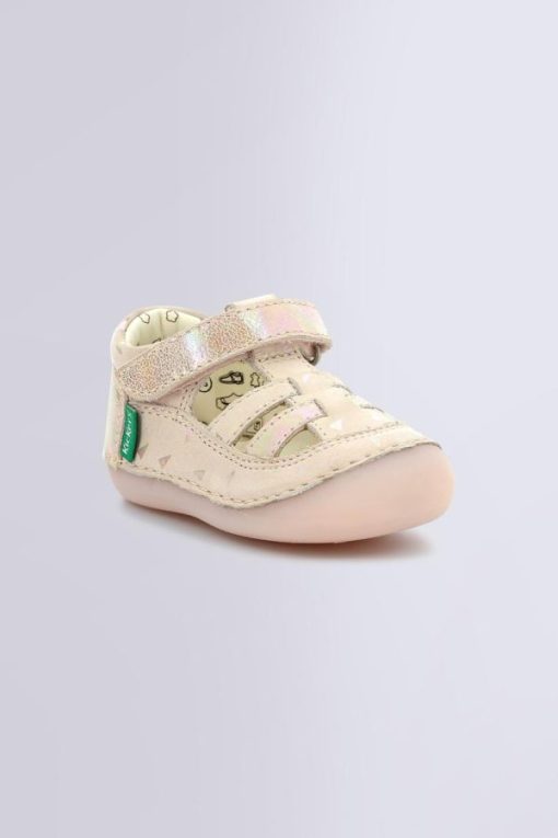 Ordercraze.shopc1c2ea2d55 4