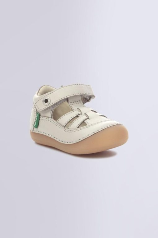 Ordercraze.shopc259b5ae57 1