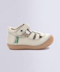 Ordercraze.shopc259b5ae57 2