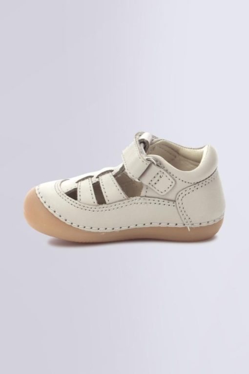 Ordercraze.shopc259b5ae57 3