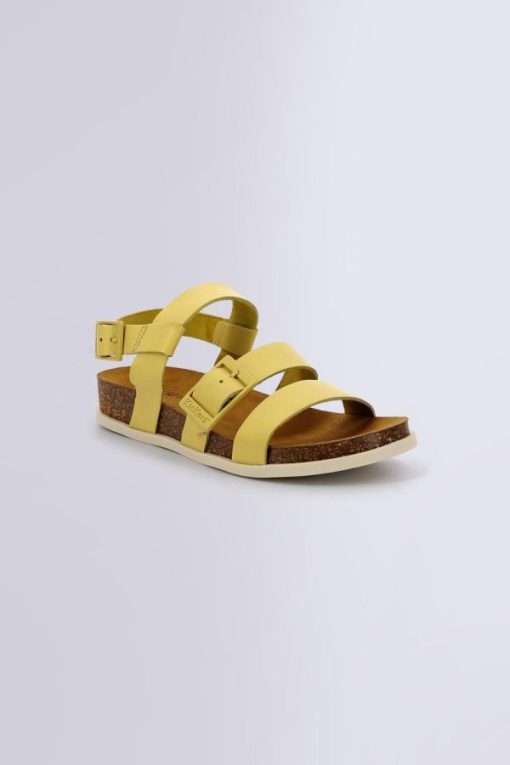 Ordercraze.shopc3fa989620 1