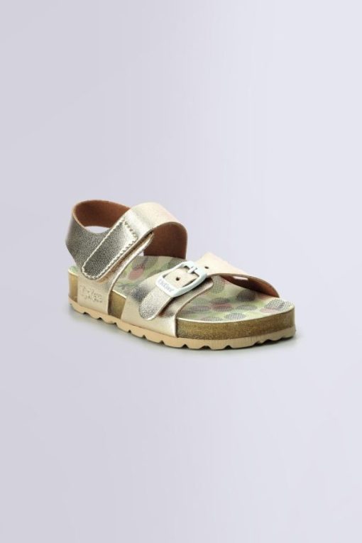 Ordercraze.shopc406756efe 1