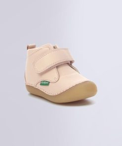 Ordercraze.shopc9a9e477a6 1
