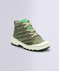 Ordercraze.shopc9cd5e25df 1