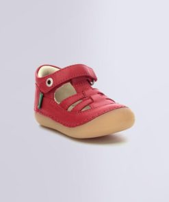 Ordercraze.shopcae94b9a01 1