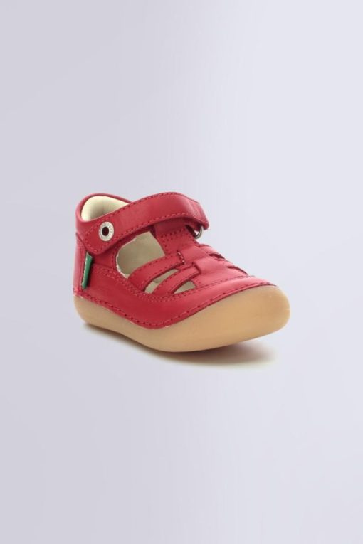 Ordercraze.shopcae94b9a01 1
