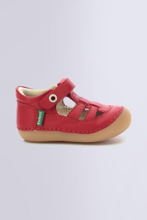 Ordercraze.shopcae94b9a01 2