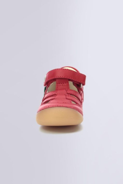 Ordercraze.shopcae94b9a01 4