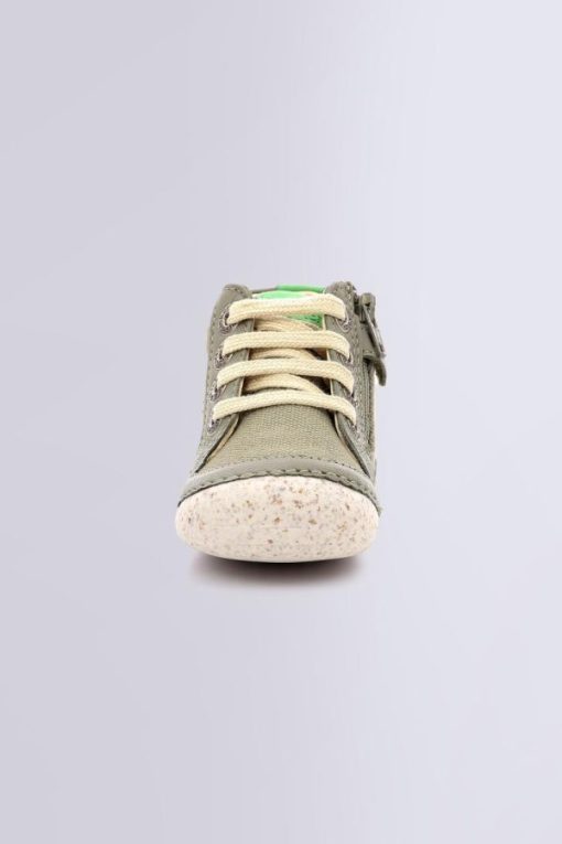 Ordercraze.shopcb4adf4f20 4