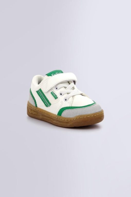 Ordercraze.shopccc517fe9c 1