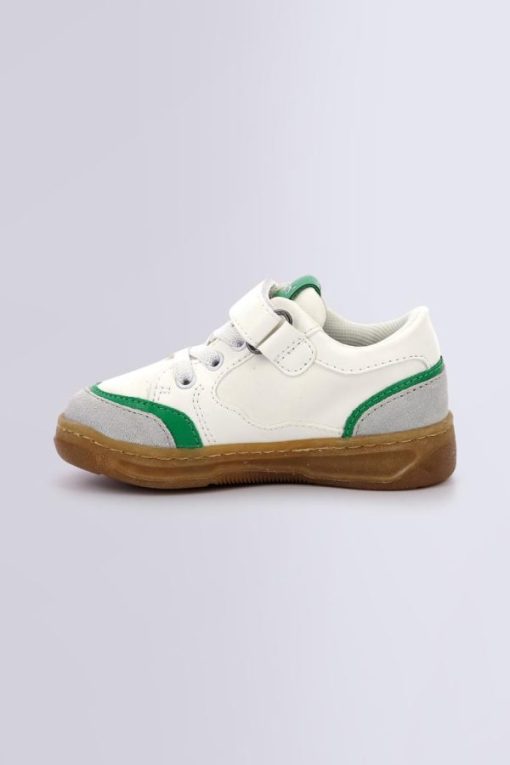 Ordercraze.shopccc517fe9c 3