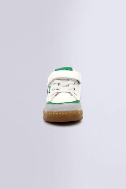 Ordercraze.shopccc517fe9c 4