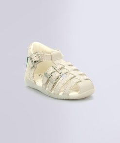 Ordercraze.shopcd29cb047f 1