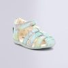 Ordercraze.shopce0b4c6280 1