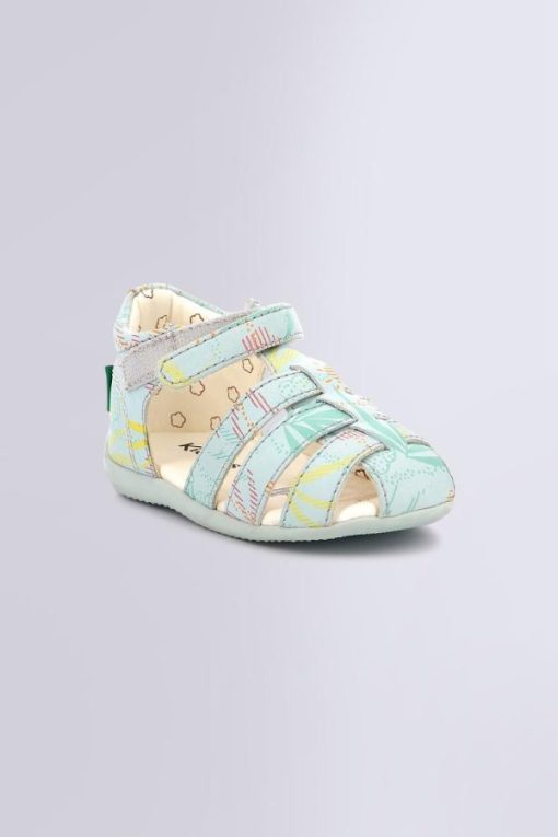 Ordercraze.shopce0b4c6280 1