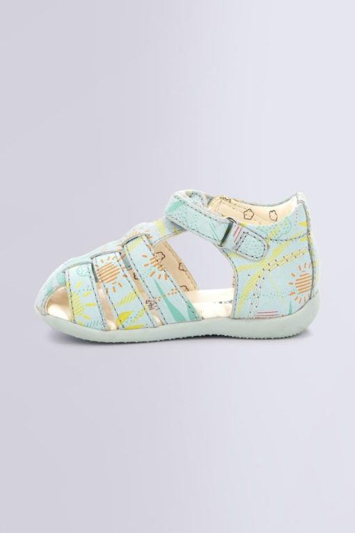 Ordercraze.shopce0b4c6280 3