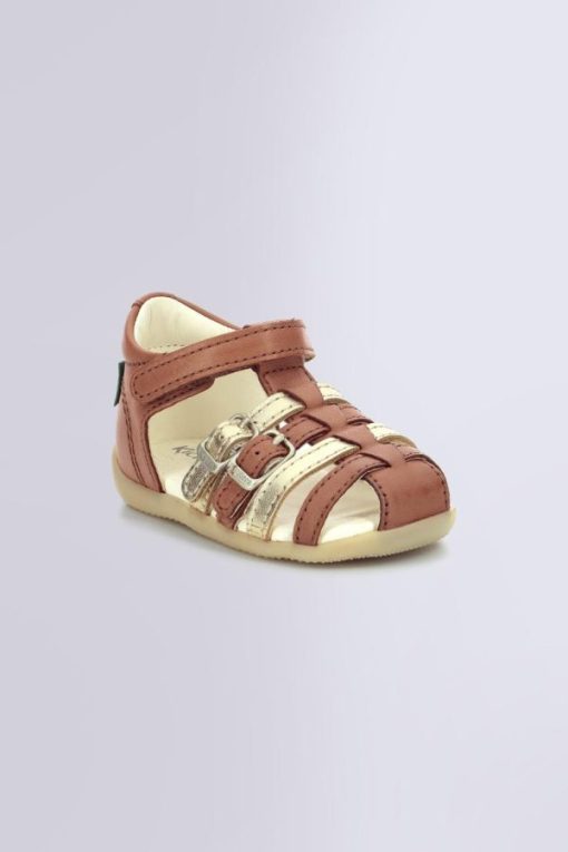 Ordercraze.shopcf7cd426fe 1