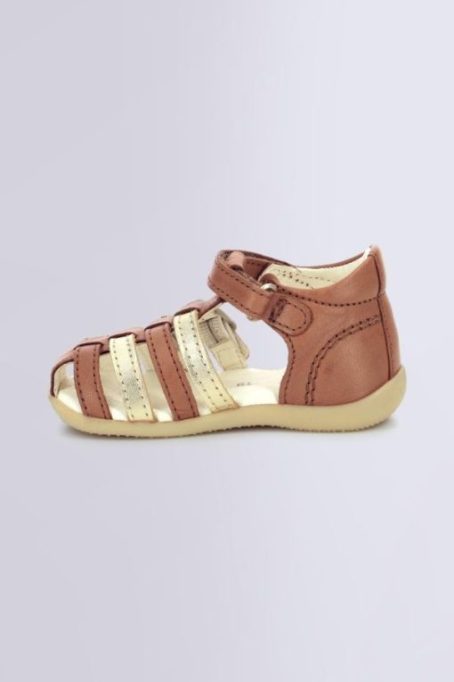 Ordercraze.shopcf7cd426fe 3