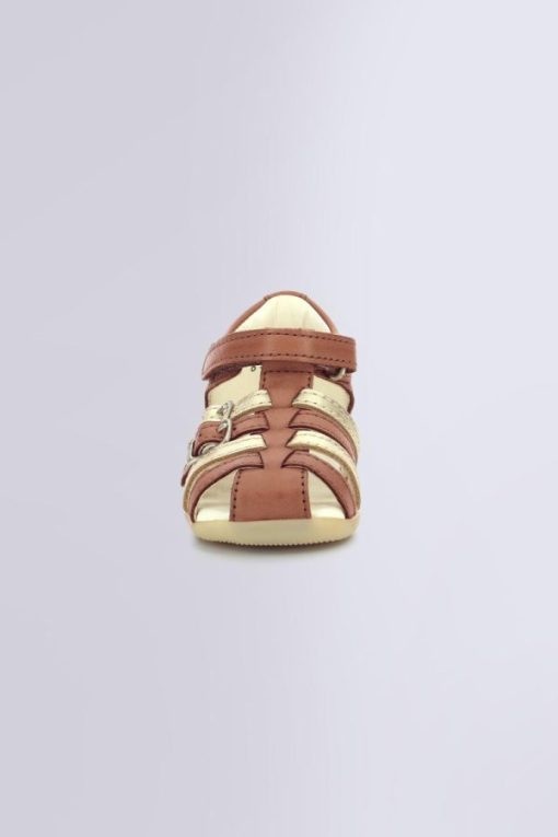 Ordercraze.shopcf7cd426fe 4