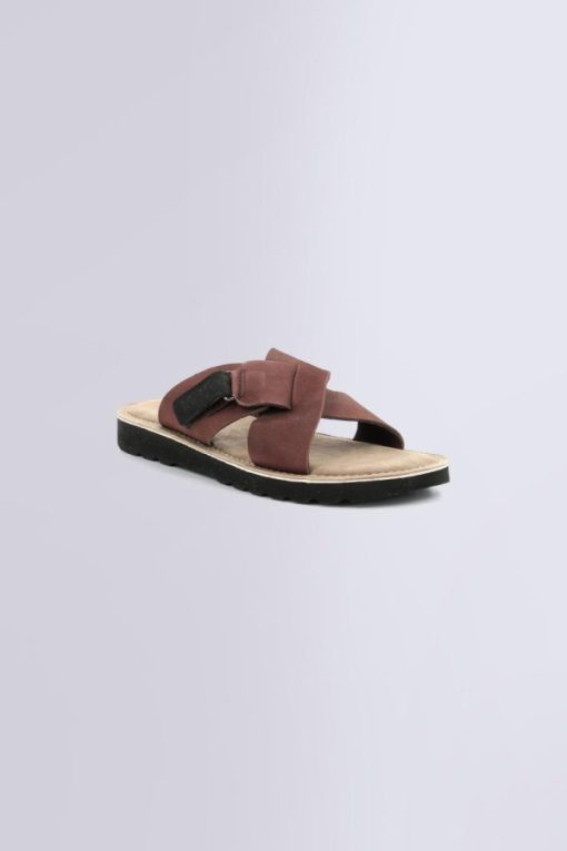 Ordercraze.shopcfaeabba89 1