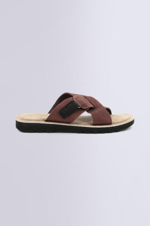 Ordercraze.shopcfaeabba89 2