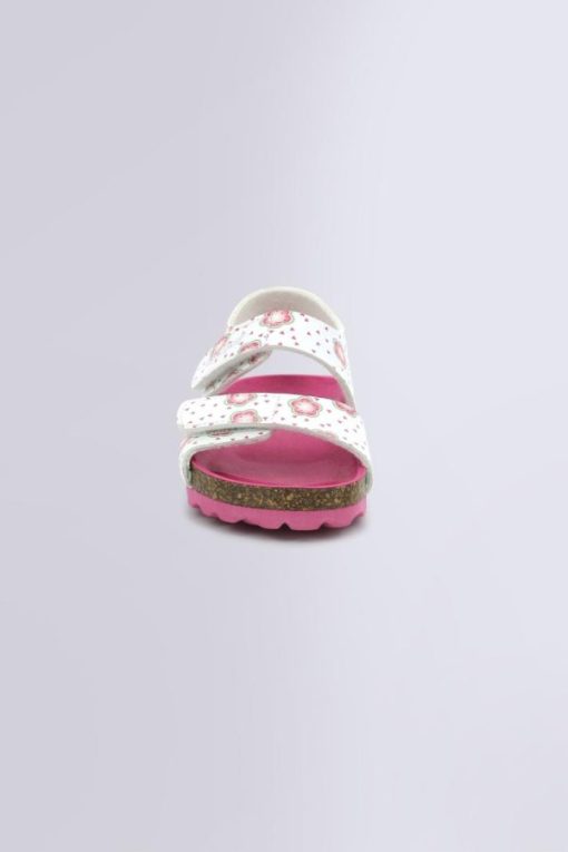 Ordercraze.shopd0a6a9c620 4