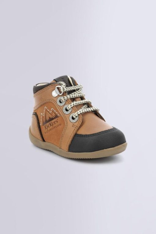 Ordercraze.shopd240de9fc3 1