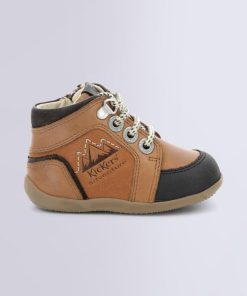 Ordercraze.shopd240de9fc3 2