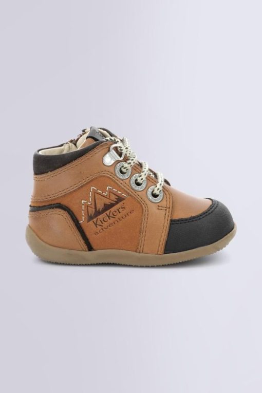 Ordercraze.shopd240de9fc3 2
