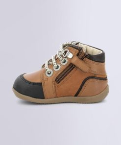 Ordercraze.shopd240de9fc3 3