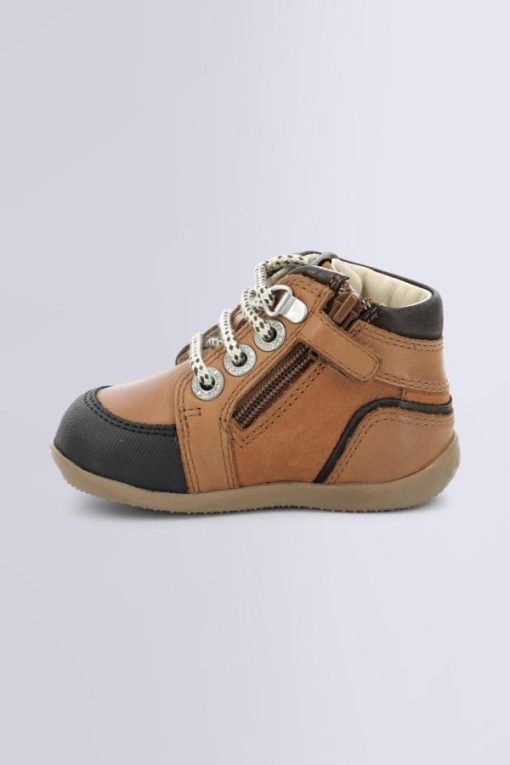 Ordercraze.shopd240de9fc3 3